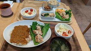 Lunch at Meguru in Osaka