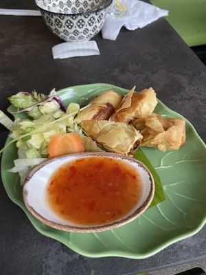Vegan Springrolls 😍 Supergood!   at Green Mango in Malmo