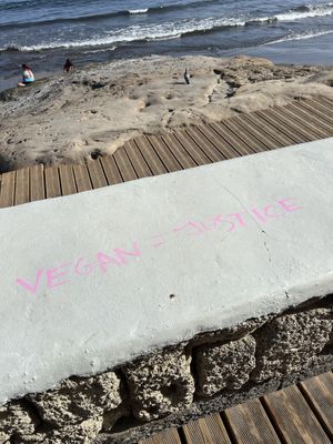Vegan = Justice   at Pistacho's el Médano in Tenerife