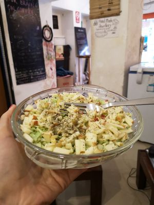 Vegan apple salad at Cafe Satori in Udaipur