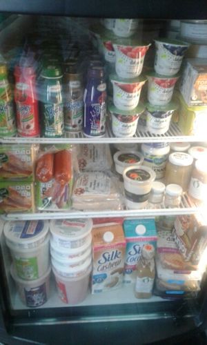 congelados at Vegattos in Mexico City