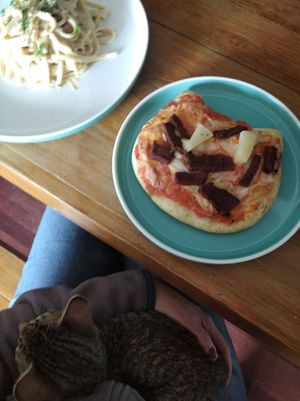 cat-shaped pizza, fettuccine, and a bonus lapcat at Vegattos in Mexico City