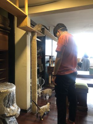   at Vegattos in Mexico City