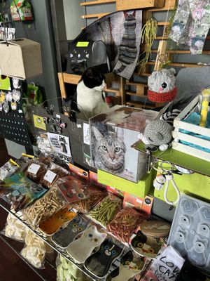   at Vegattos in Mexico City