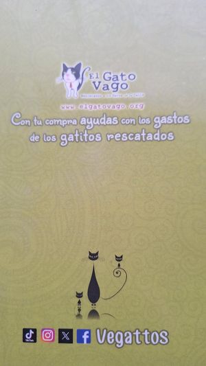  at Vegattos in Mexico City