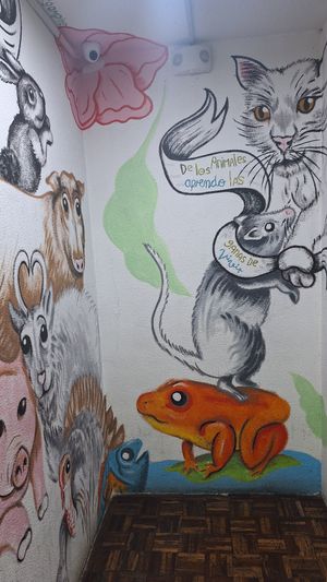  at Vegattos in Mexico City