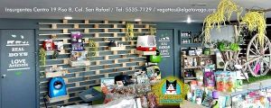 Cat cafe super vegano at Vegattos in Mexico City