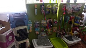 Great if you have a cat!  at Vegattos in Mexico City