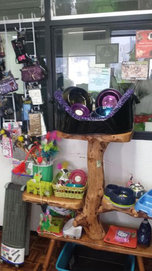 More goodies for cats! at Vegattos in Mexico City