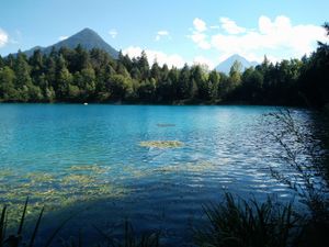 Naturhotel LechLife at Naturhotel LechLife in Wangle