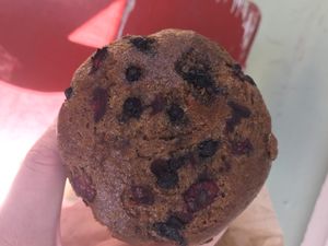 Vegan berry muffin at City Feed and Supply - Bolyston St in Jamaica Plain
