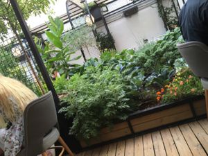 Garden terrace at Flax & Kale - Placa Castella in Barcelona
