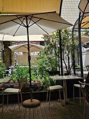 Upstairs at Flax & Kale - Placa Castella in Barcelona