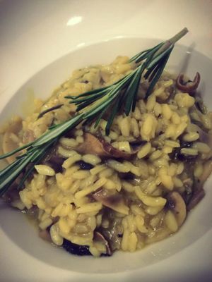 Mushroom-rosemary Risotto  at Green Pumpkin in Riga