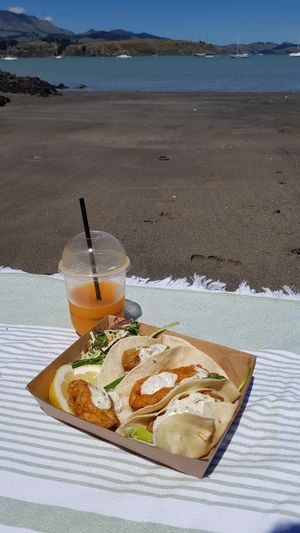 Banana Blossom 'Fish Tacos' at The Shroom Room in Christchurch