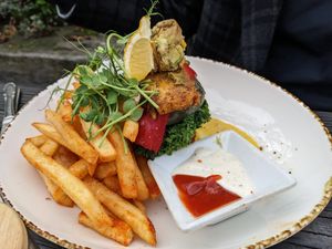  at The Shroom Room in Christchurch