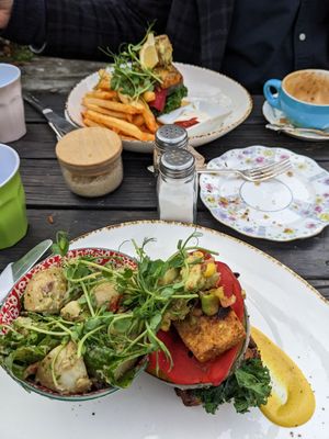  at The Shroom Room in Christchurch