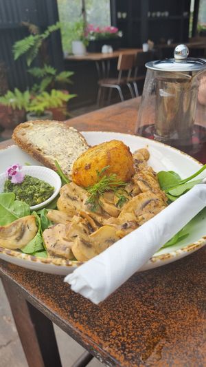  at The Shroom Room in Christchurch