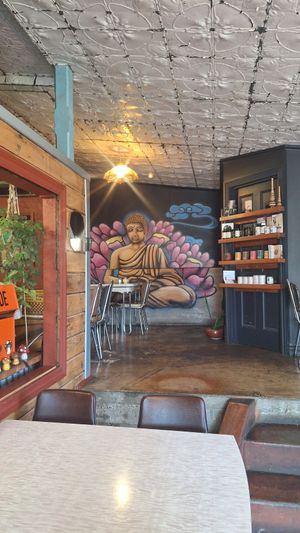  at The Shroom Room in Christchurch