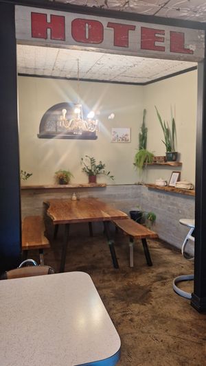  at The Shroom Room in Christchurch