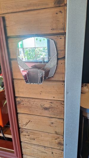  at The Shroom Room in Christchurch