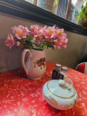  at The Shroom Room in Christchurch