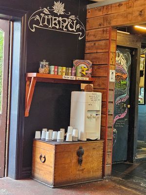  at The Shroom Room in Christchurch