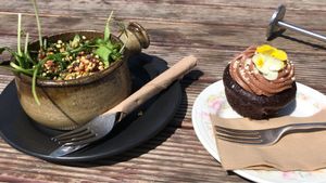 Delicious Salad and chocolate cake   at The Shroom Room in Christchurch