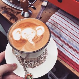 😍 at The Shroom Room in Christchurch