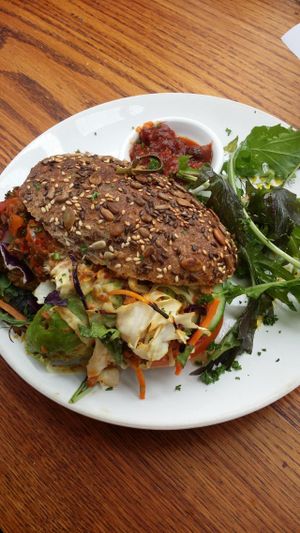 vegan treehugger sandwich at The Shroom Room in Christchurch