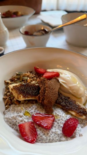 Vegan breakfast bowl at Cafe Stamba in Tbilisi