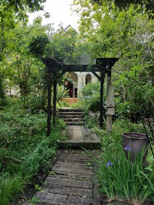 cafe garden at Cafe Sora in Jogasaki