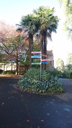   at Lentil As Anything - Abbotsford Convent in Abbotsford
