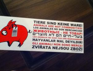 Door Details at Veganka in Ankara