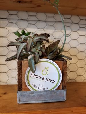 Tel.# at Juice and Java in Miami Beach