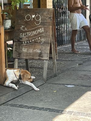   at Org Bistro in Rio De Janeiro