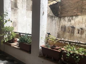 Patio  at The Juice House in Barcelona