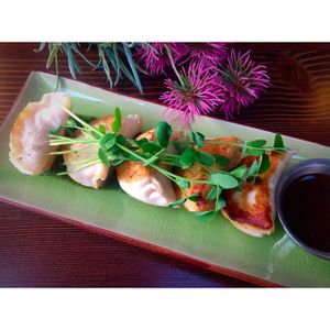 Vegetable Pot Stickers at The Crabapple Cafe in Brackendale