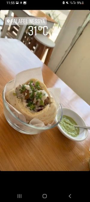 Falafel Wrap at Falafel Nessya in Playa Del Carmen