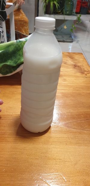 Horchata at Falafel Nessya in Playa Del Carmen