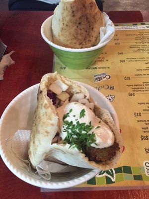 Awesome falafel! at Falafel Nessya in Playa Del Carmen