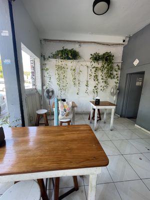   at Falafel Nessya in Playa Del Carmen