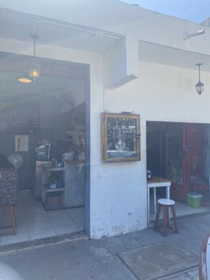   at Falafel Nessya in Playa Del Carmen