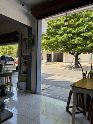   at Falafel Nessya in Playa Del Carmen