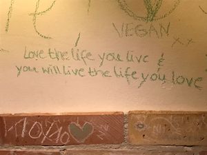 Love the life you live at Olive Tree Hummus Original in Budapest
