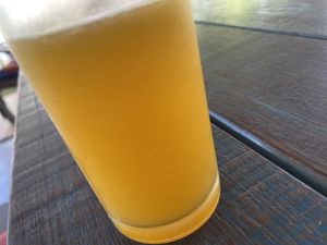 Fresh Squeeze Orange Juice!  at Akasha Home Restaurant in Koh Phangan