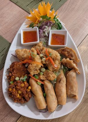Vegetable spring rolls, vegetable gyoza, tofu tod - starter from vegetarian/vegan set menu (8/10) at Sangthai Restaurant in York