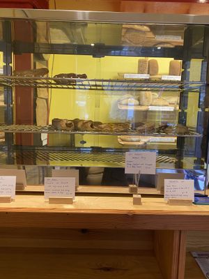   at Saker Wholefoods in Hebden Bridge