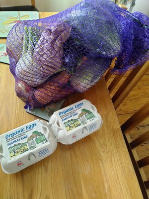 How it all looked when arrived: large veg box , extra salad leaves bag, 2 lemons, celery and 2 boxes of eggs: just over £30 all in. Left at front door, didn't see delivery person! at Mourne Manor Organics in Newcastle