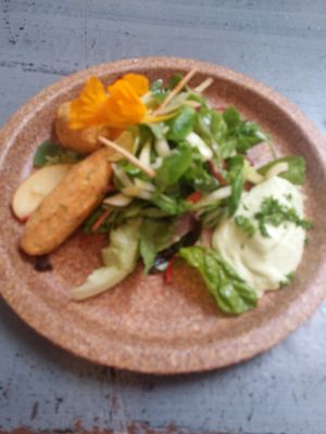 Chickpeas and Kale Koftas paraley sioli/fennel and apple salad. at Coca Sova in Dublin